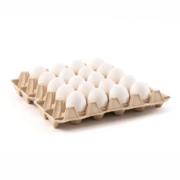 Bandeja de 20 de huevos premium CampoLab